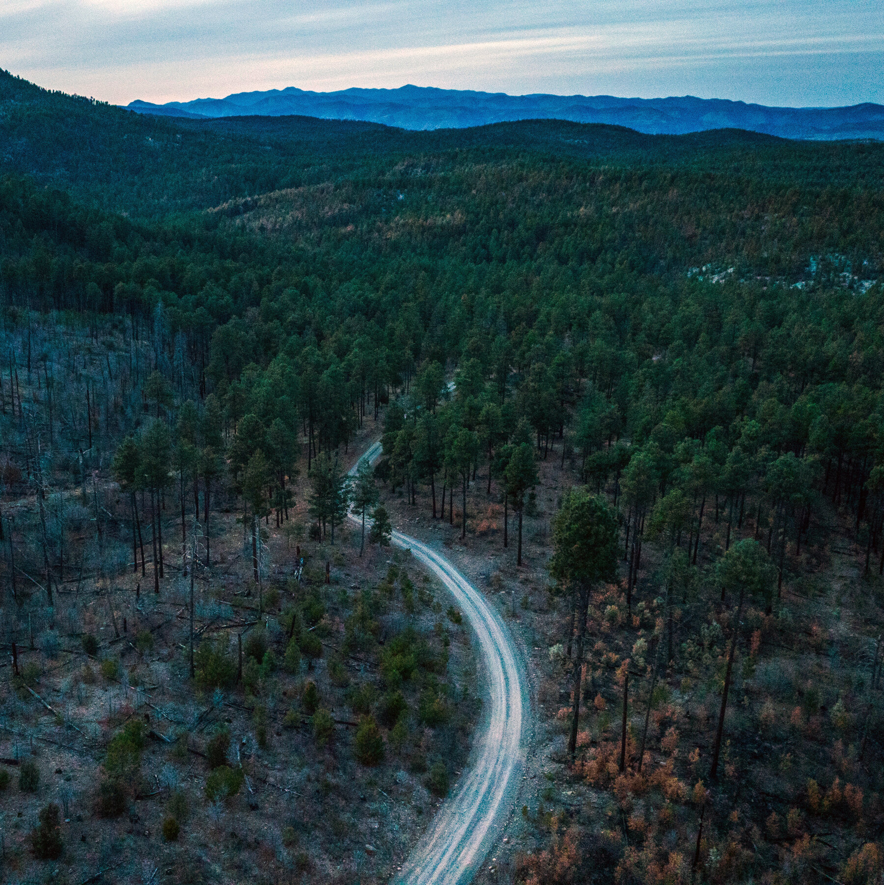 US Forest Service Memo Reveals Plan to Open Millions of Acres to Off-Road Vehicles