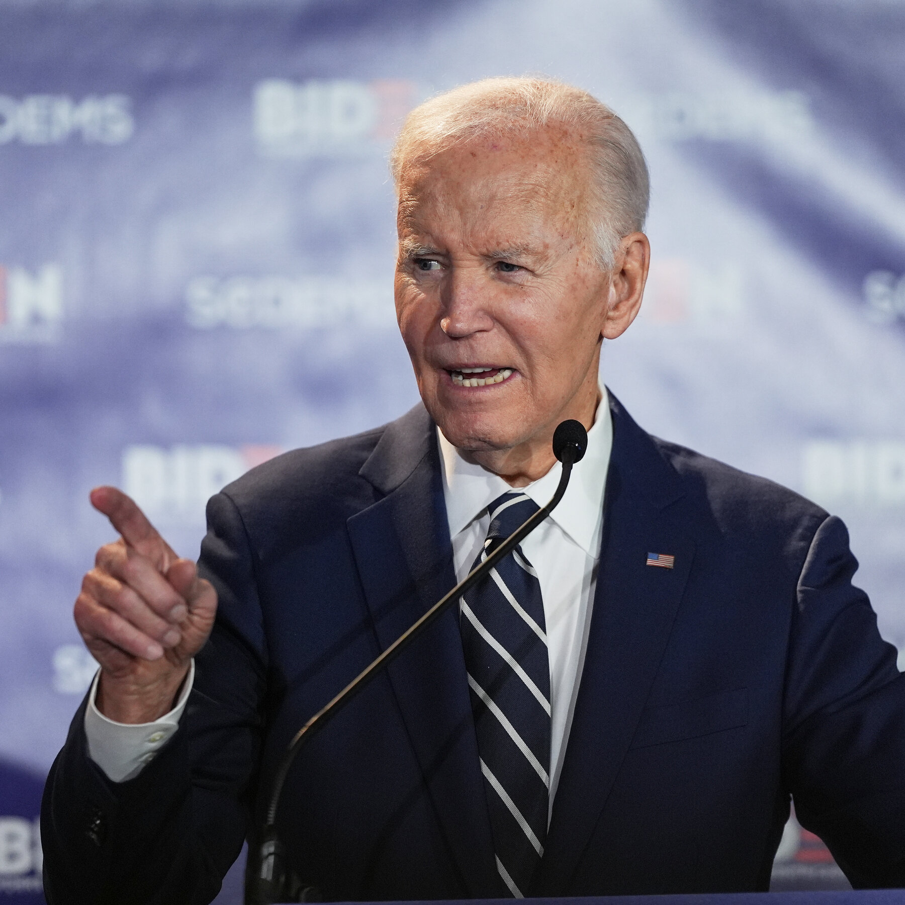 Bidens Resurface Online, in Bookstores and at South Dakota Best Western