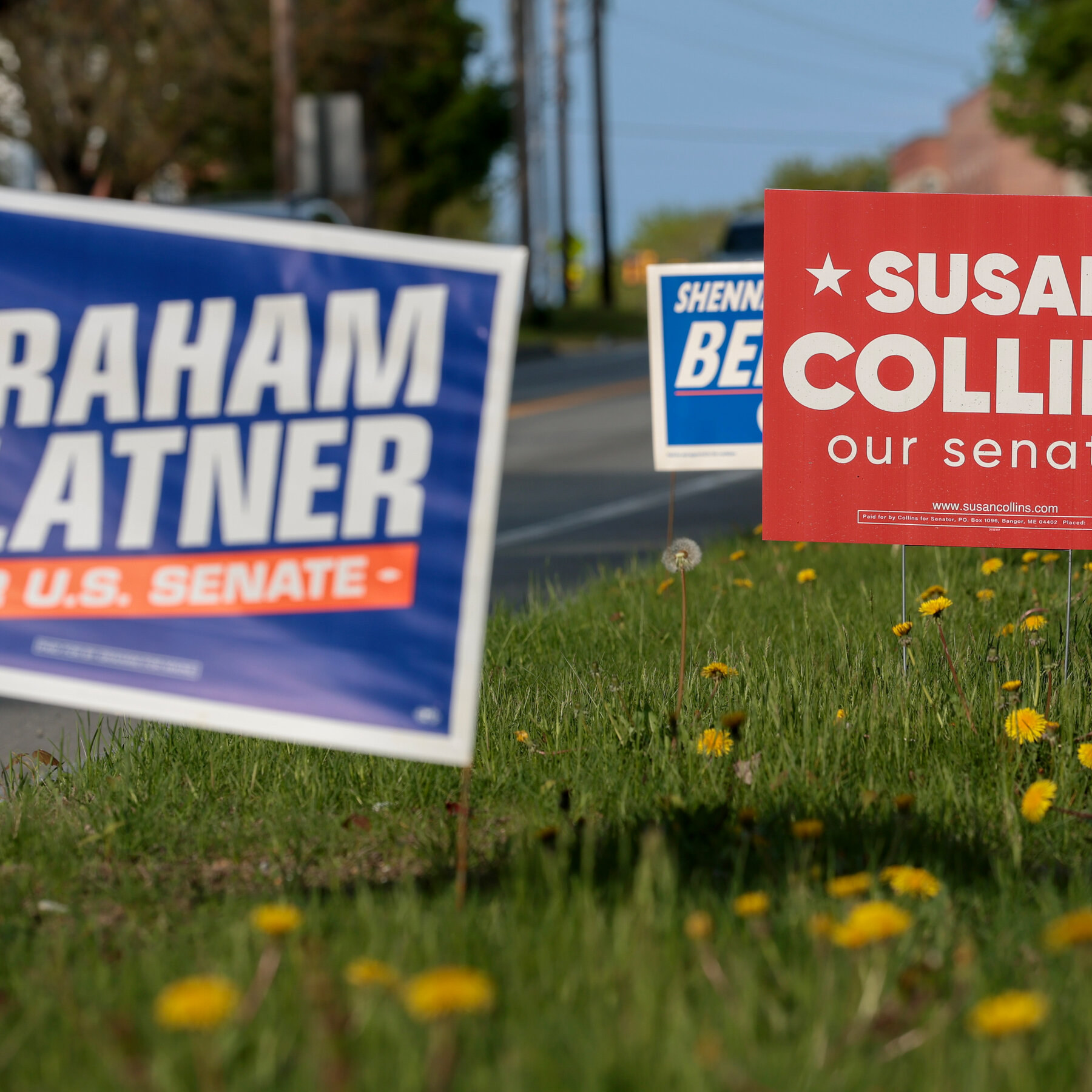 Three Key Questions on Maine and South Carolina Primaries as Candidates Seek Big Wins
