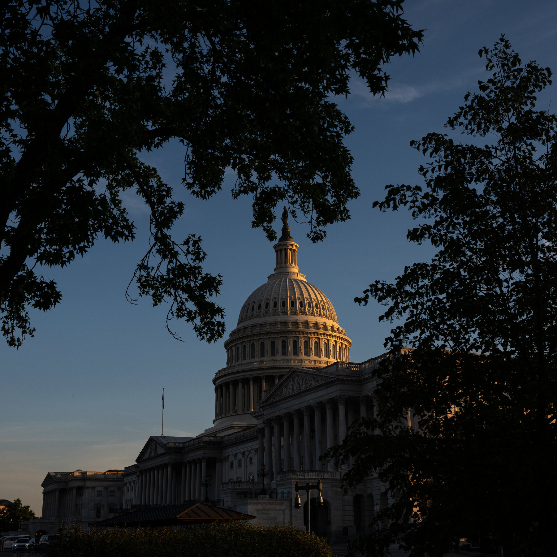 South Carolina Voters Pick Candidates for Open First District Congressional Seat