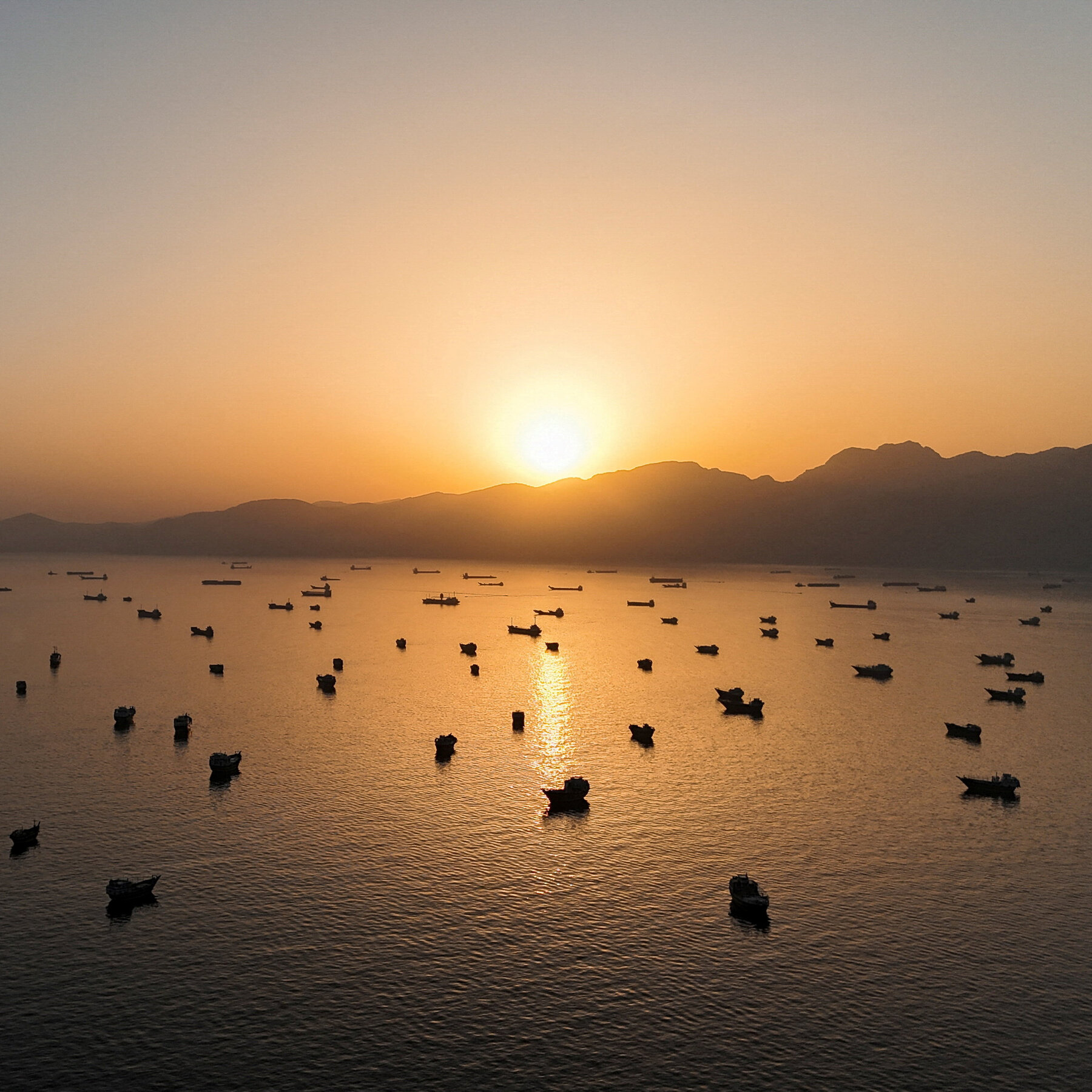 Over 500 Ships Remain Stranded in Persian Gulf, Owners Weigh Waiting Against Attack Risk