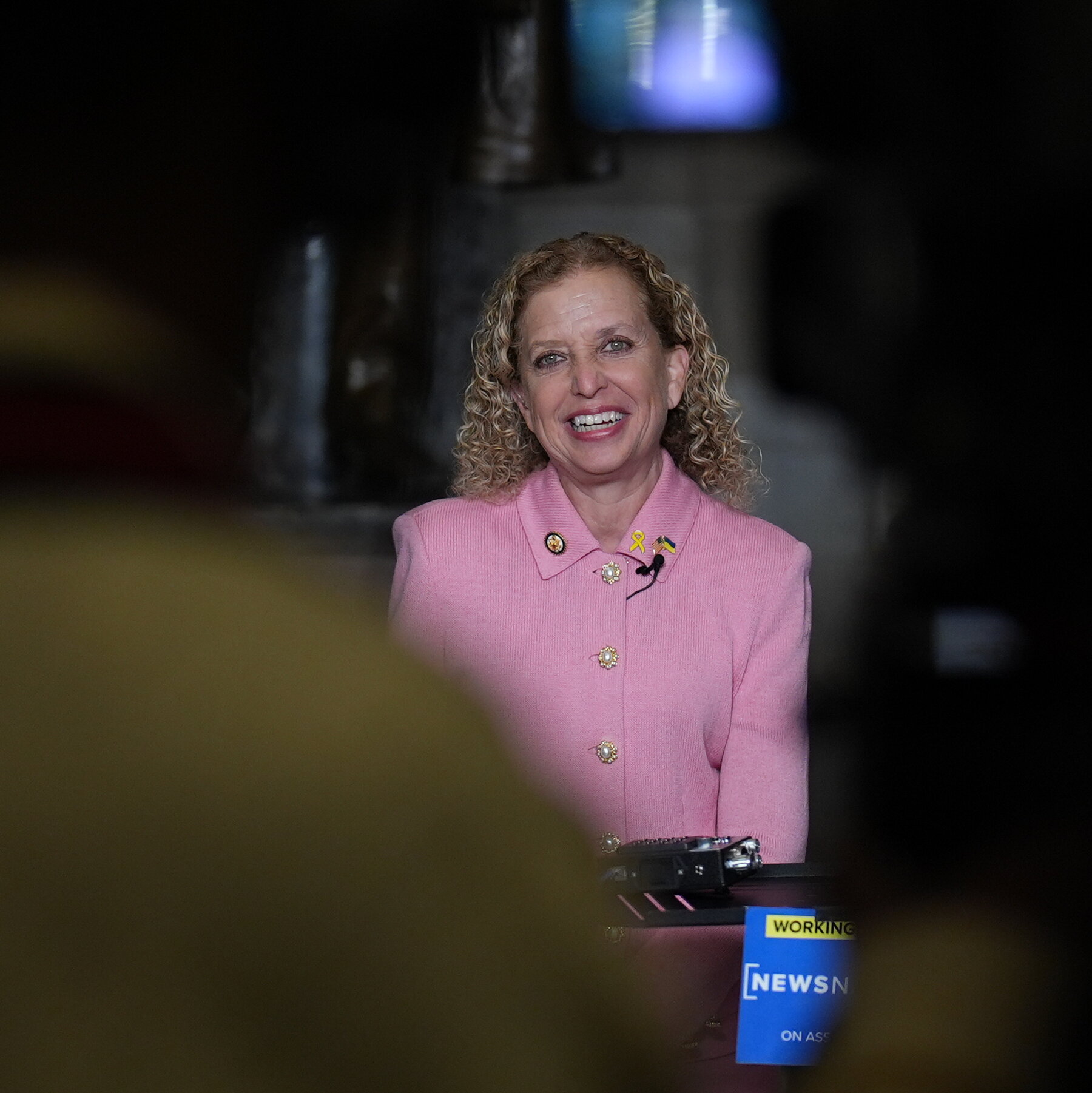 Redistricting Pits Rep. Wasserman Schultz Against Multiple Black Candidates in Florida