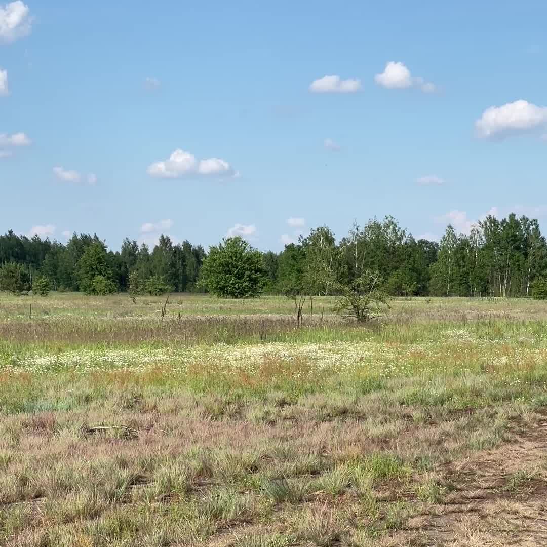 Ukraine Deploys Autonomous Interceptors to Counter Russian Drone Threats