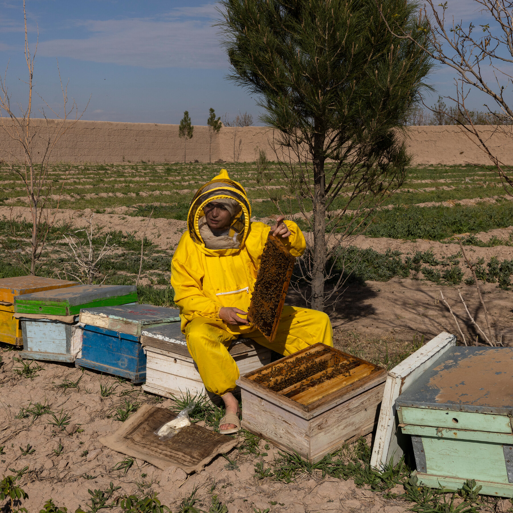 Afghan Women Turn to Entrepreneurship as Taliban Limits Education and Employment