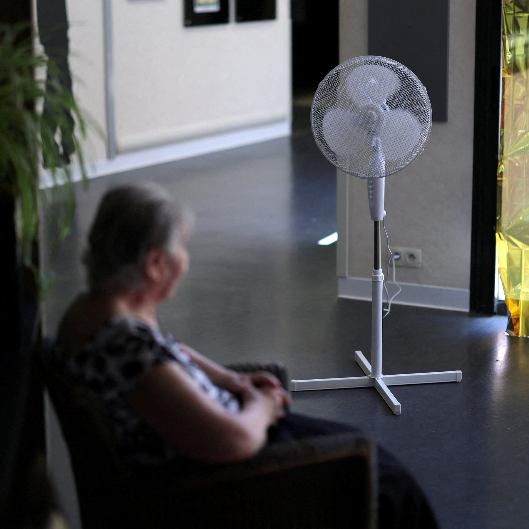 European Heat Records Prompt Scientists to Probe Upper Limits of Summer Warming