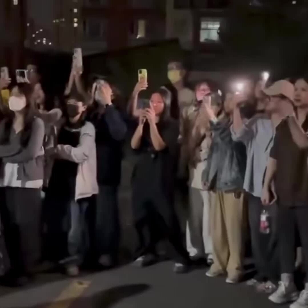 Hundreds of Chinese Youth Protest After Dog Abuse Video, Marking First Civic Action for Animal Welfare