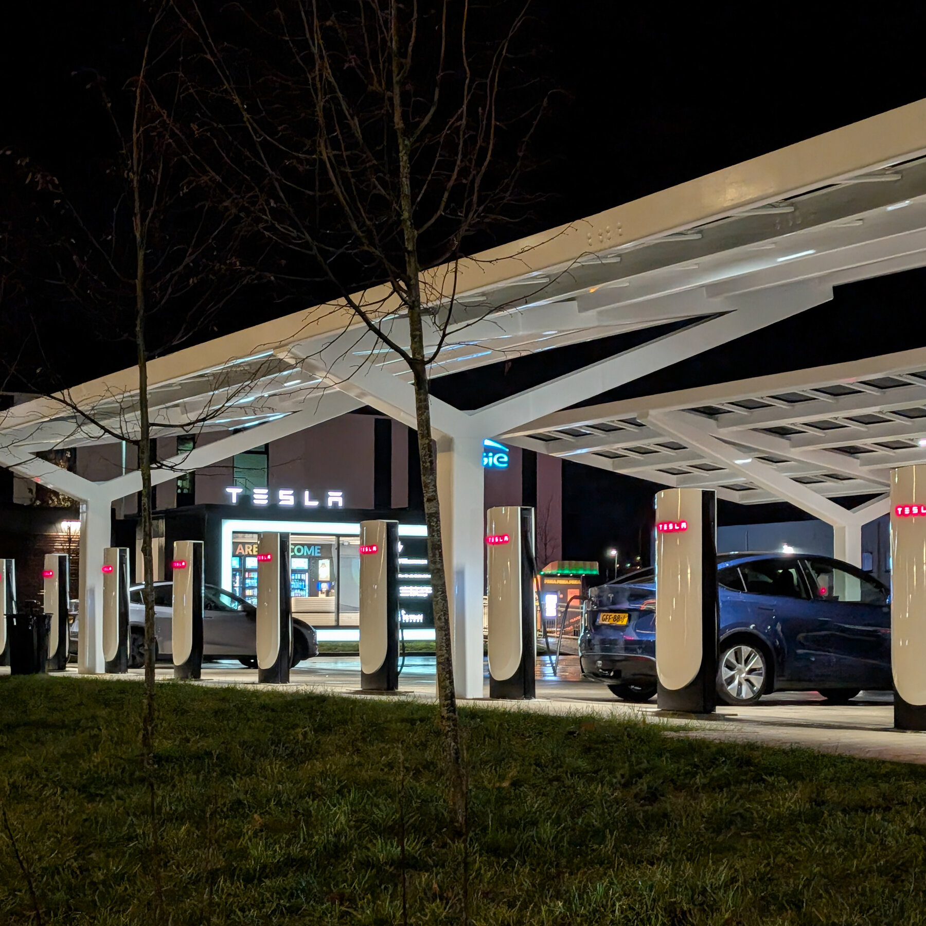 European Tesla Sales Climb Amidst Price Cuts, Despite Elon Musk's Public Image