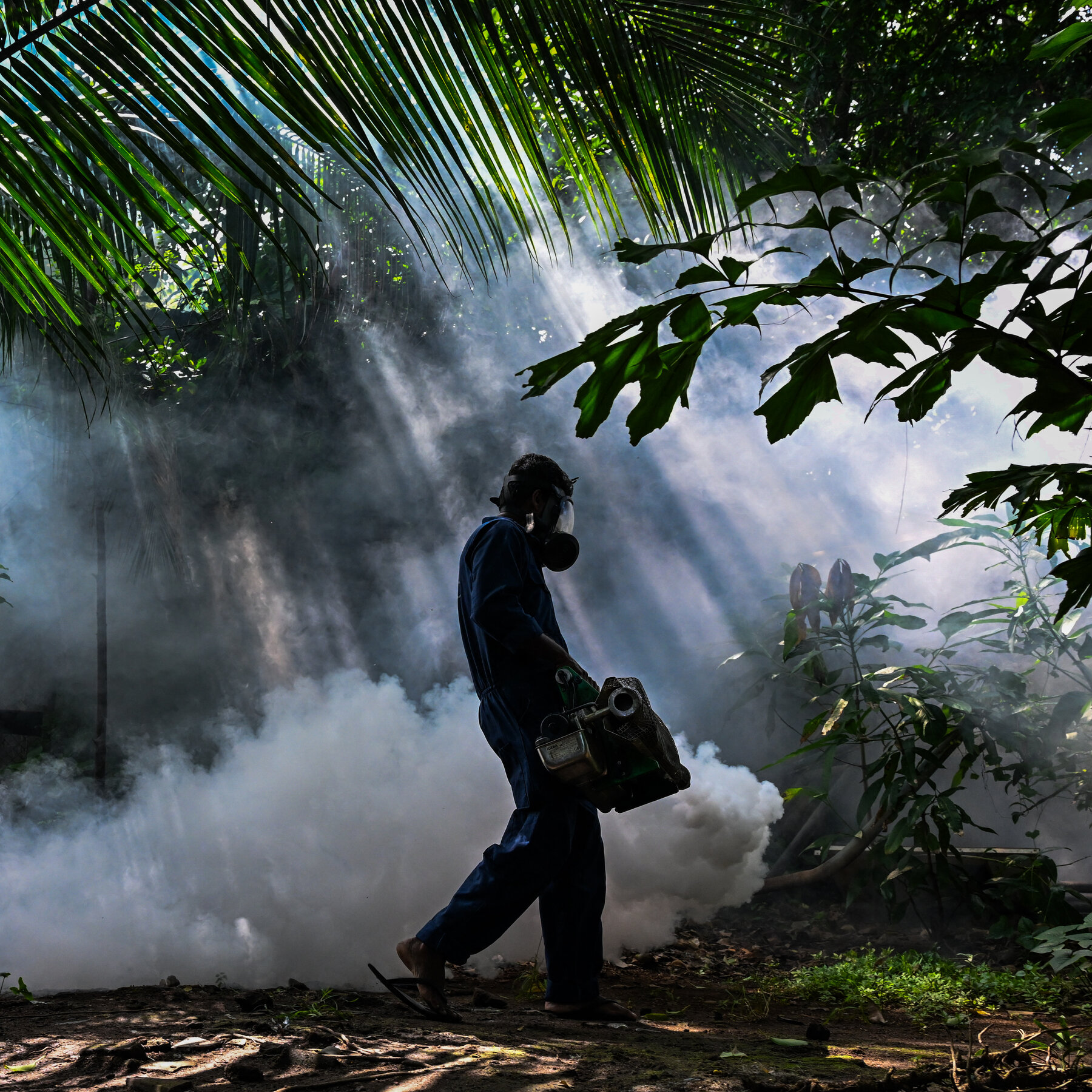 Sri Lanka Deploys Military Drones to Combat Mosquitoes Amid Dengue Surge