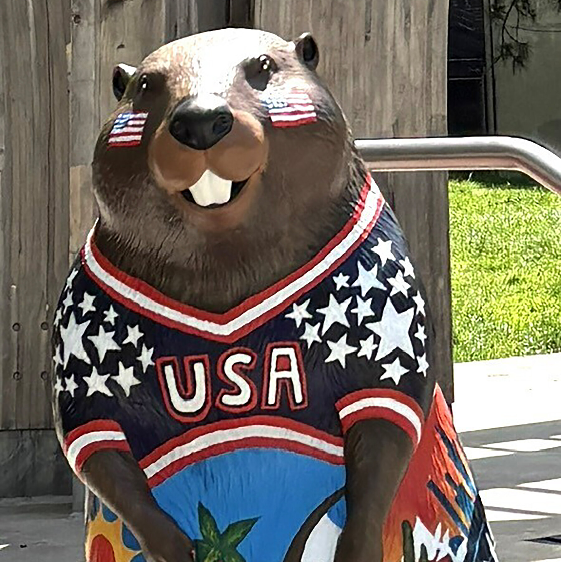 U.S.-themed Beaver Statue Vandalized in Toronto During World Cup Art Display
