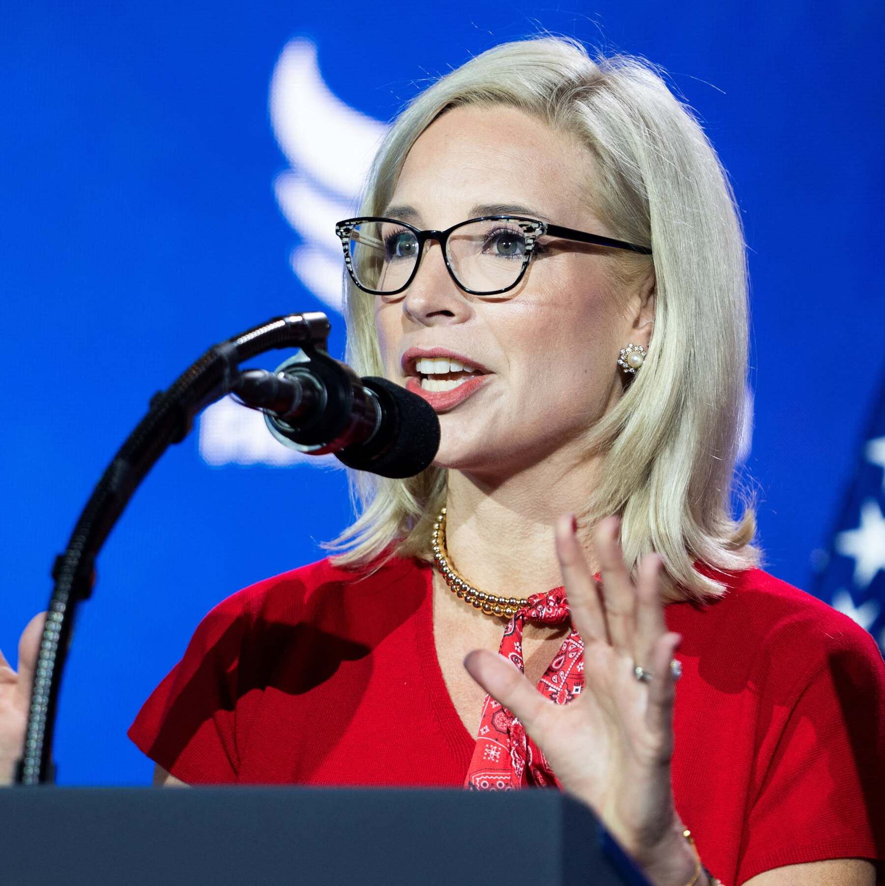 Polls Show Republicans Hold Slight Senate Advantage, Yet Democrats Face Hurdles to Reclaim Chamber