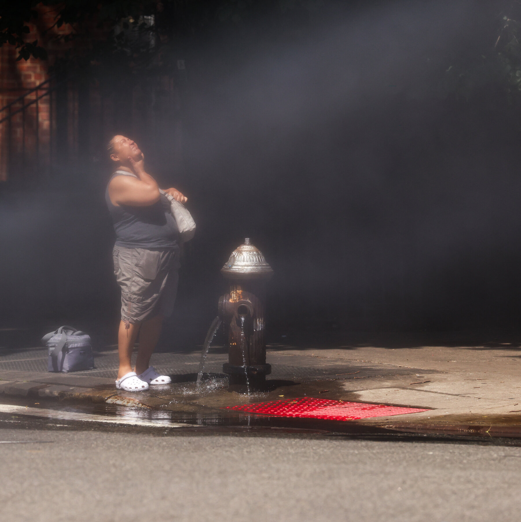 Scientists Say Recent U.S. Heat Wave Would Be ‘Virtually Impossible’ Without Climate Change