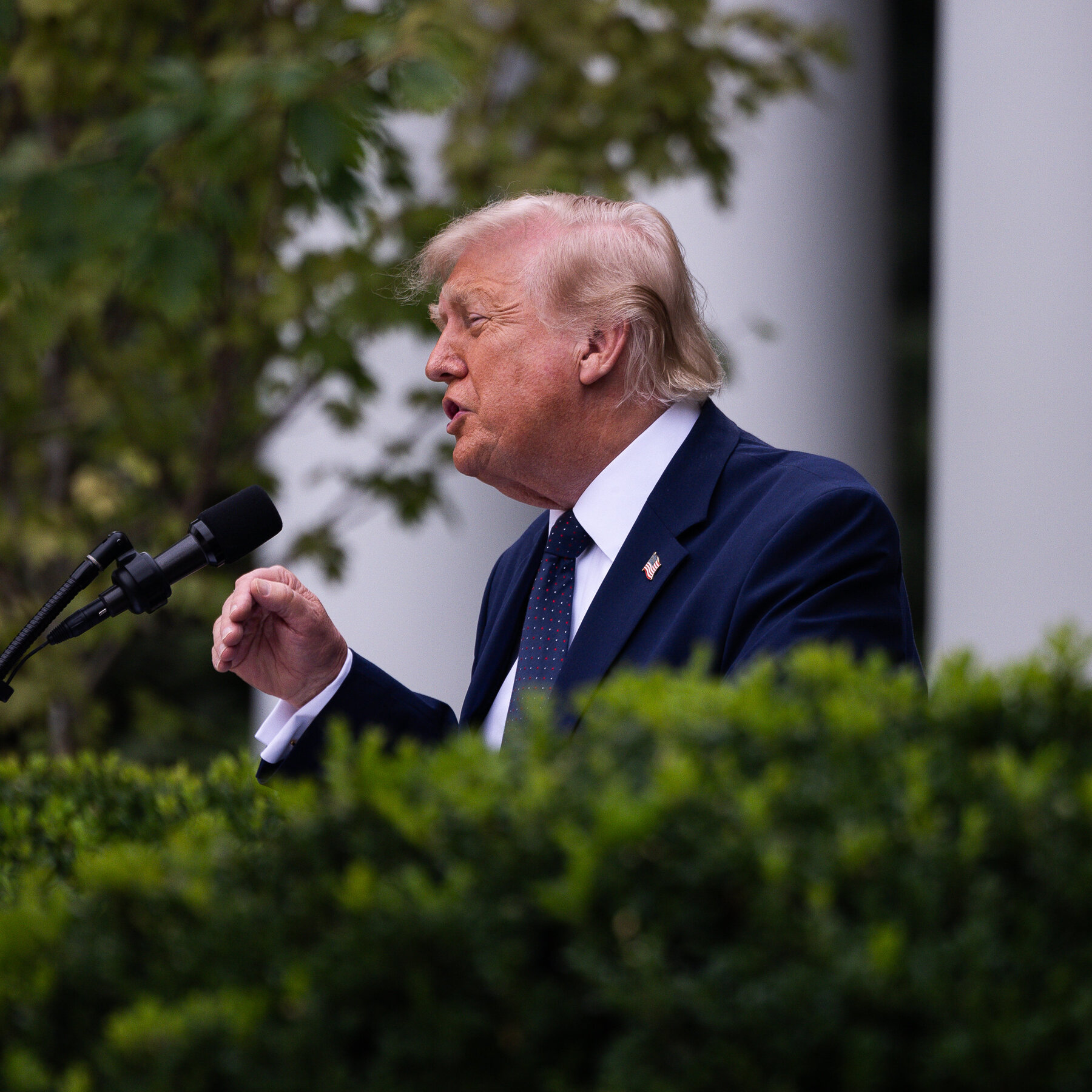 Trump Announces Plan to Petition Supreme Court for Rehearing of Citizenship Case, Rare Move