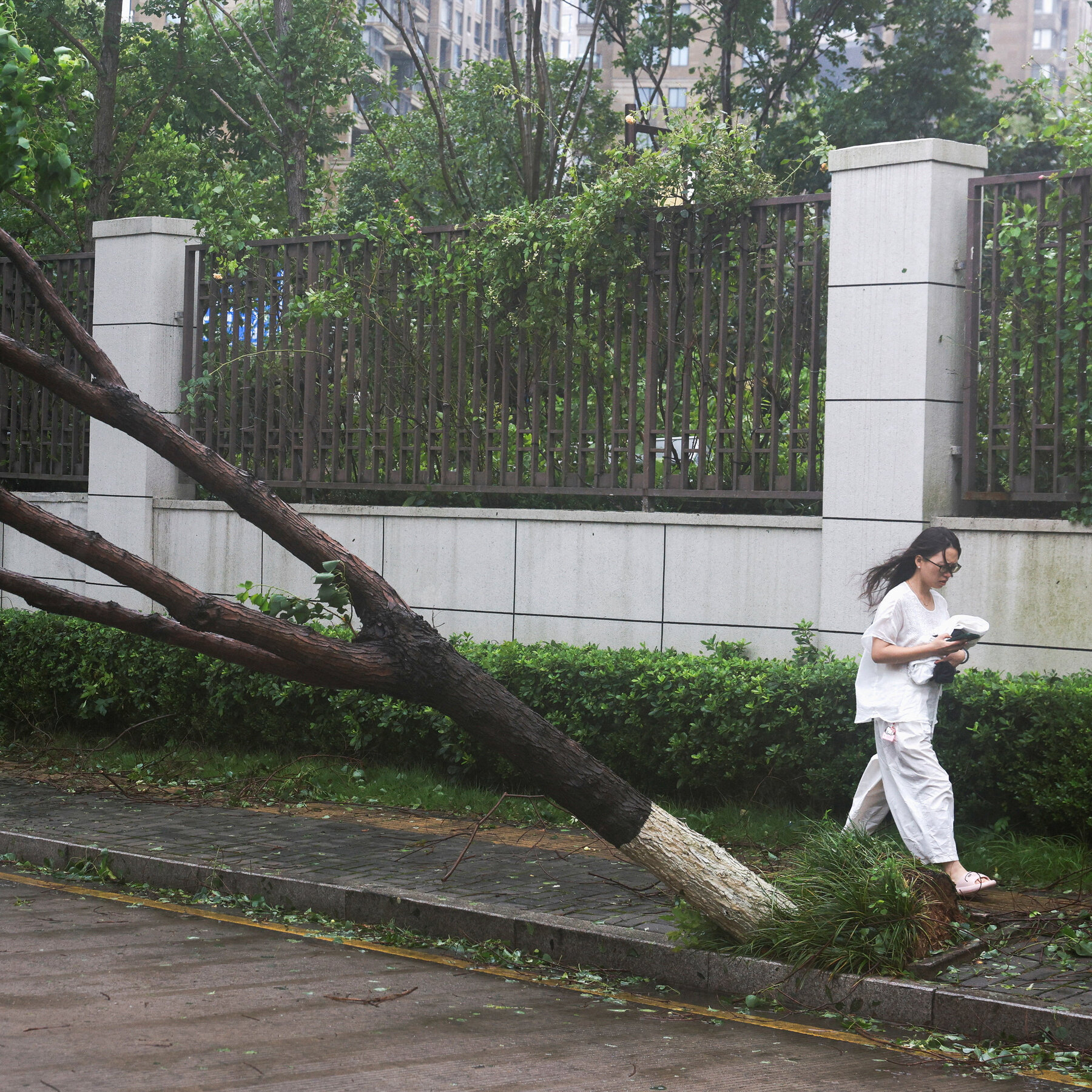 Typhoon Bavi Triggers Mass Evacuations, Floods, and Flight Disruptions Across China