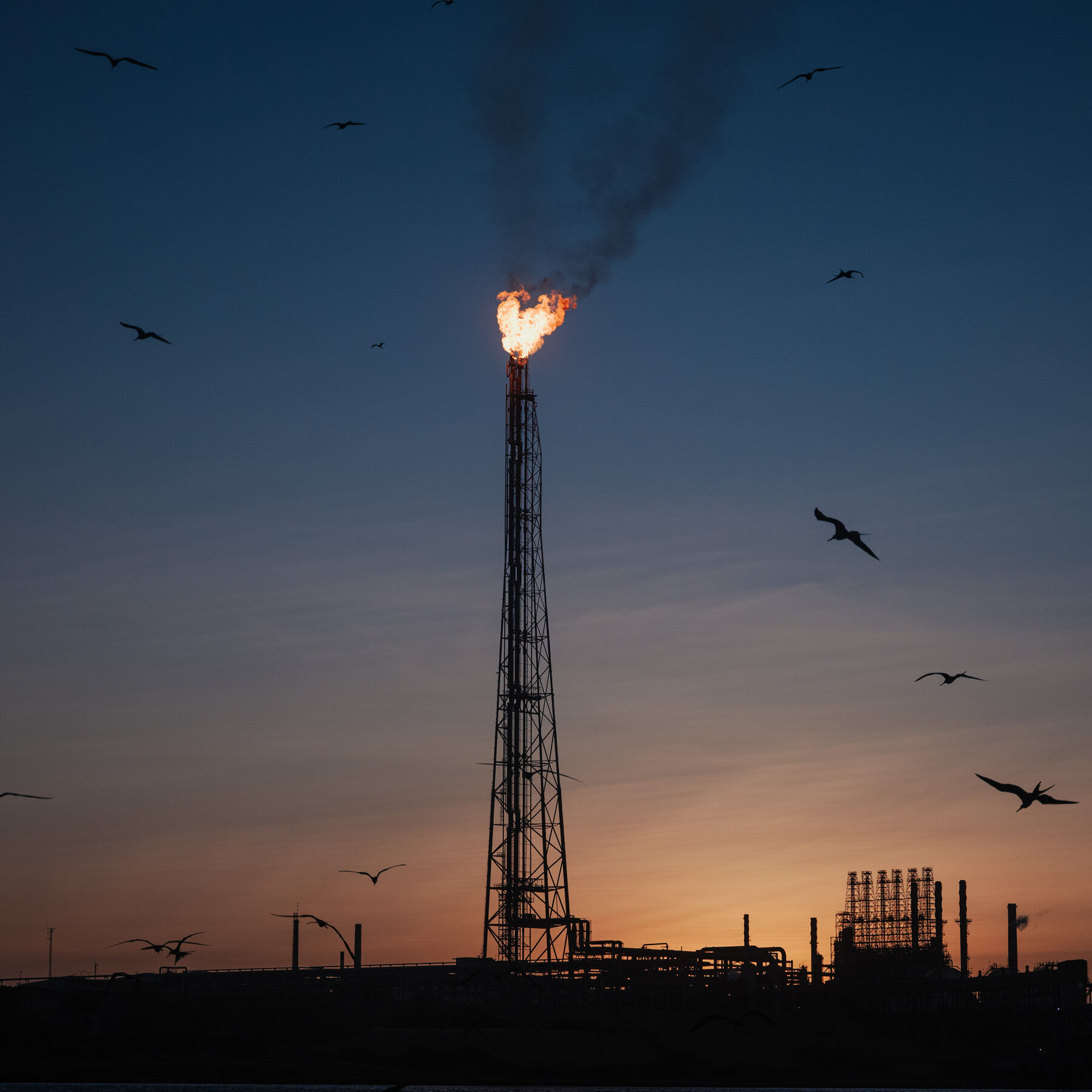 New book reveals President Trump's strong support for fossil fuels in extraordinary White House meeting