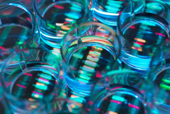OpenAI researcher Miles Wang plans AI drug discovery startup valued at $2 billion