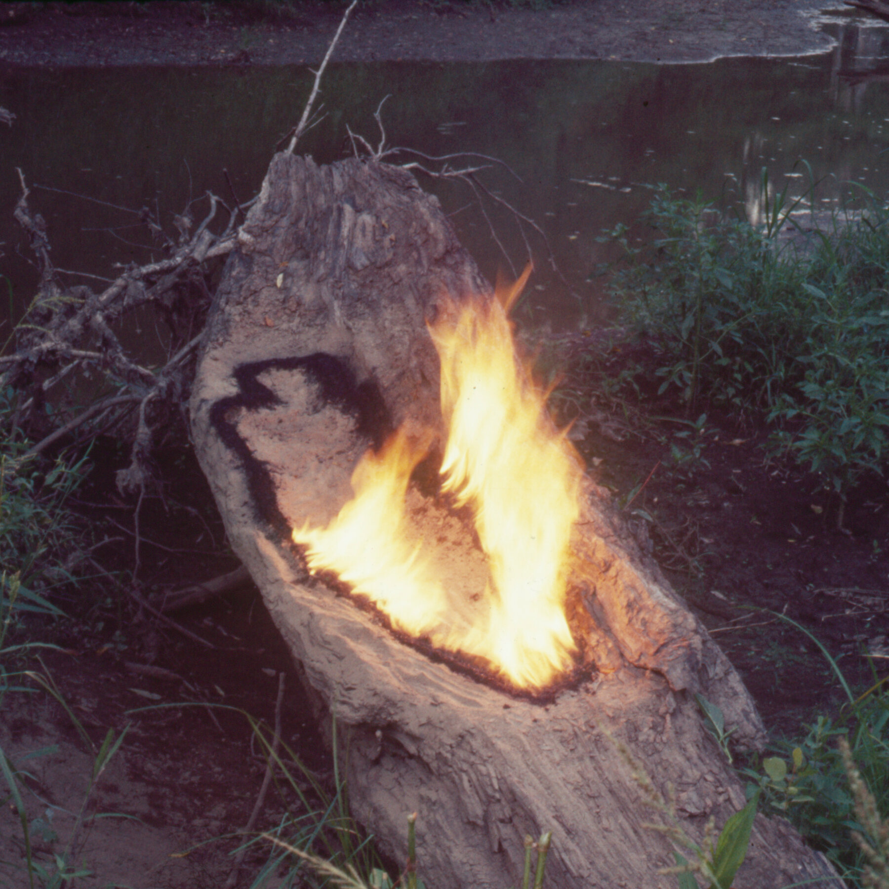 Tate Modern Surveys Ana Mendieta's Nature‑Centric Art Across Her Career