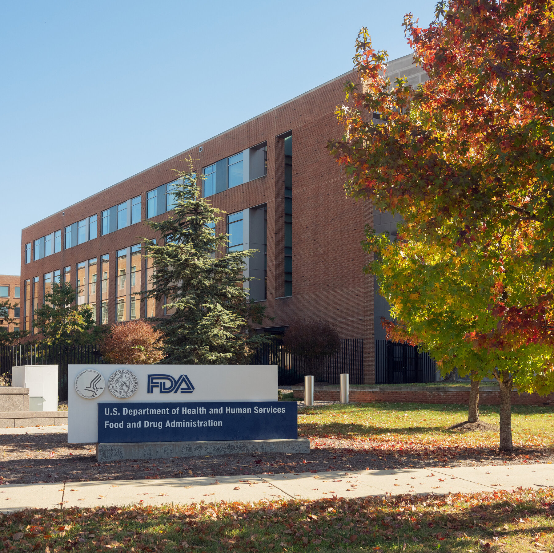 FDA to Inspect Mexican Farms and Lettuce Facility After Cyclospora Outbreak Linked to Taylor Farms