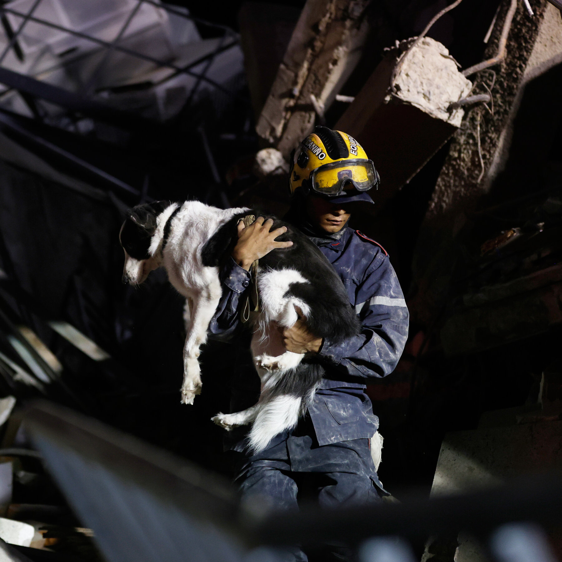 Volunteers reunite pets with families amid Venezuela's devastation