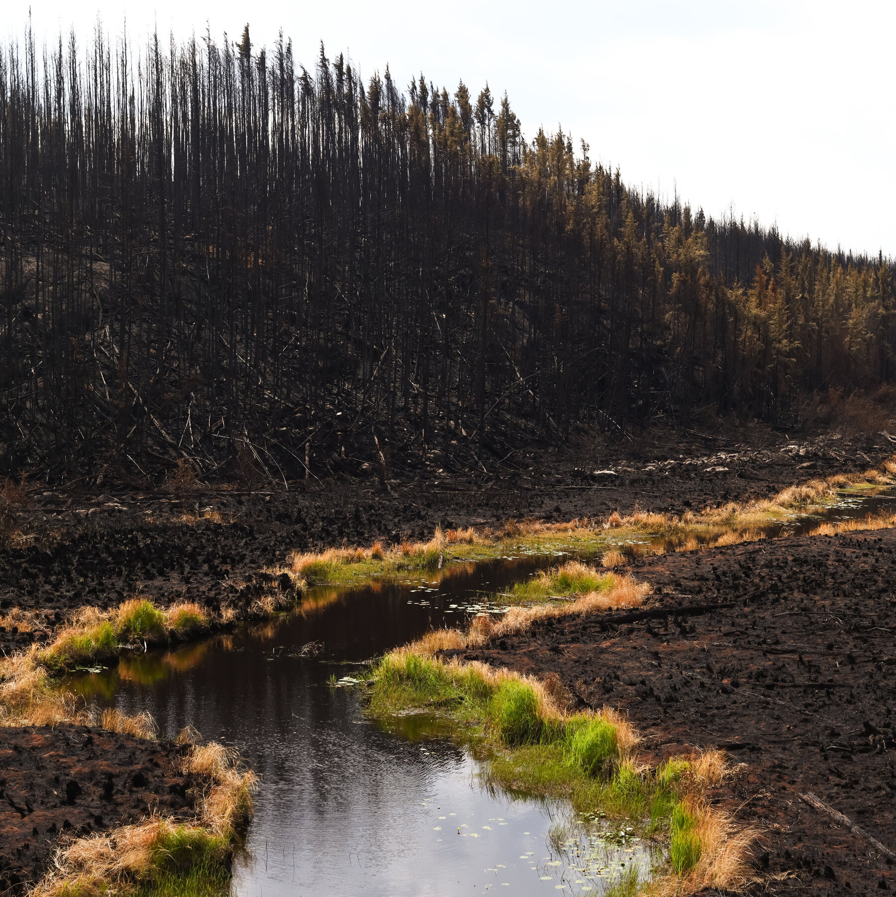 Northwestern Ontario Residents Claim Their Fire Warnings Were Ignored as Wildfires Raged