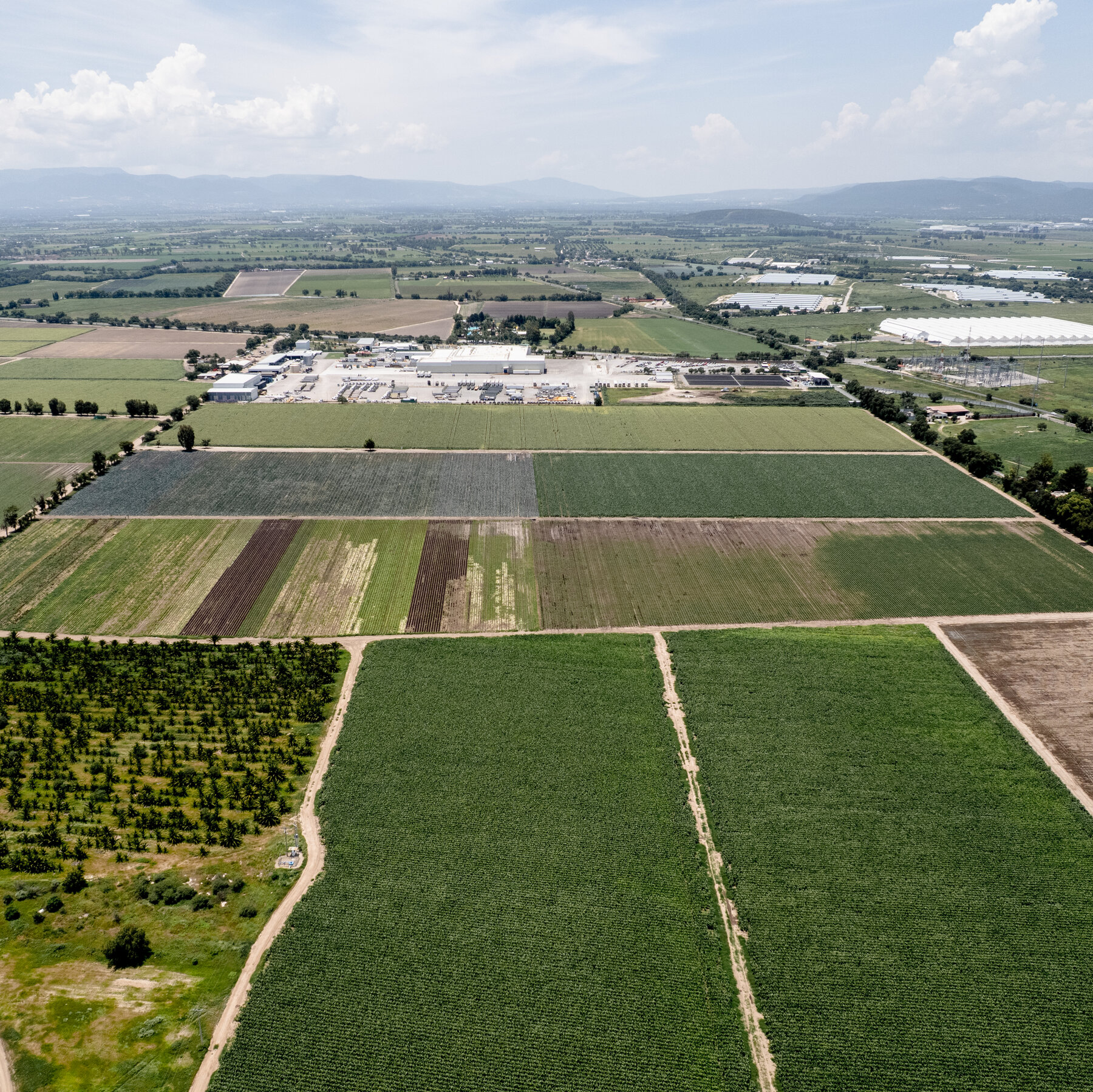 Central Mexican lettuce region possibly linked to U.S. Cyclospora outbreak that has sickened thousands