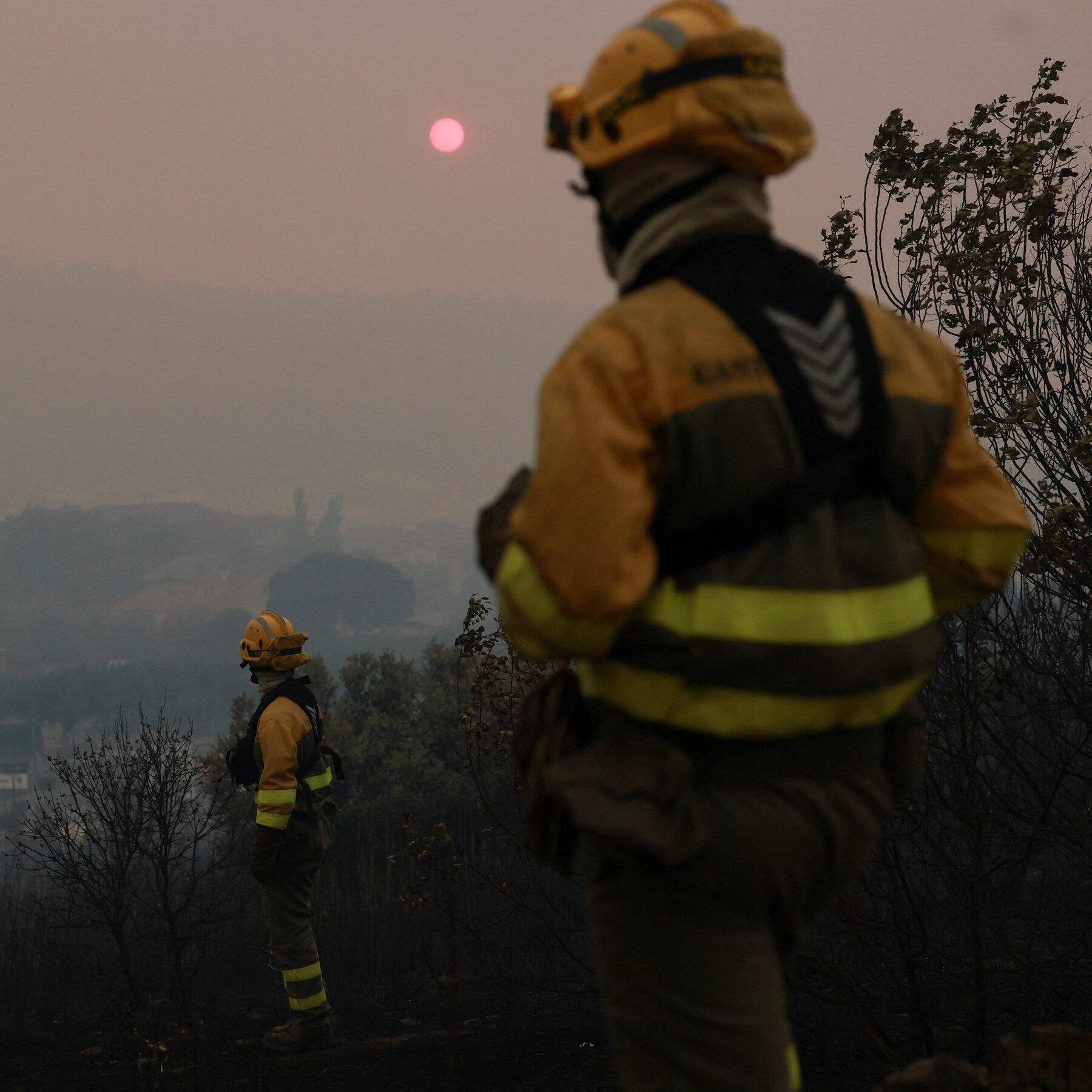 Extreme Summer Heat Fuels Wildfires Across France and Spain