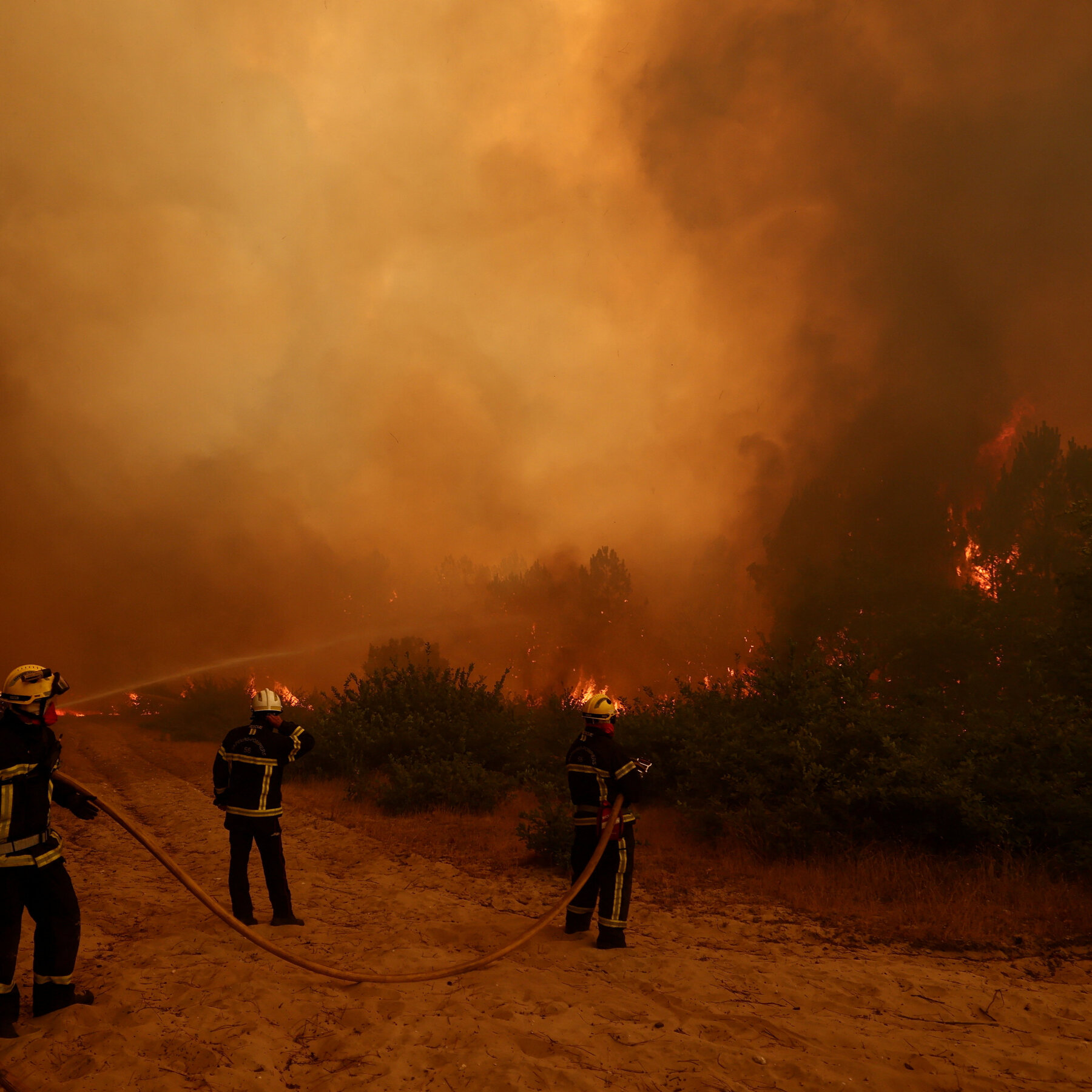 Wildfires Ravage Western Europe, Tens of Thousands Evacuated