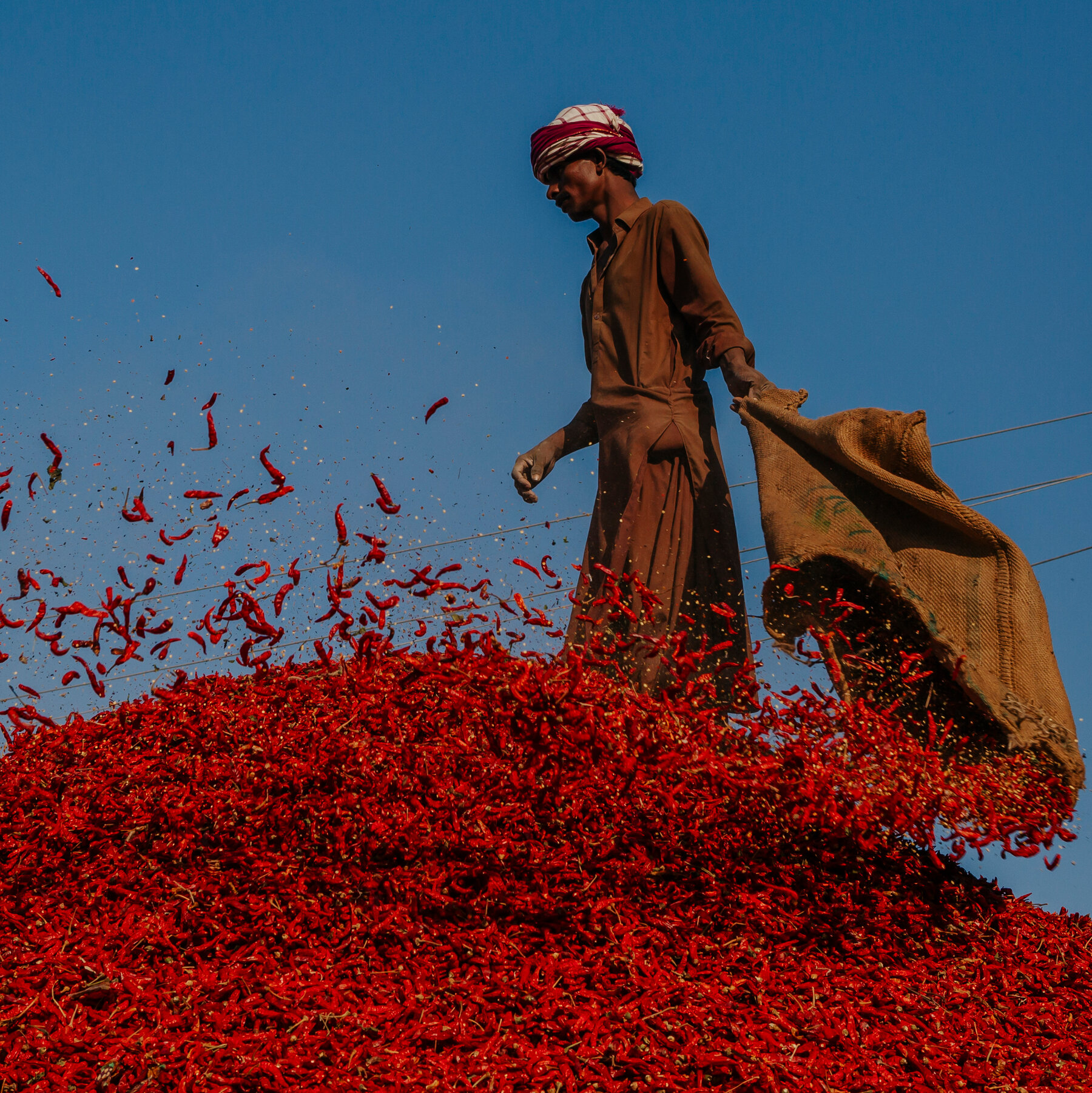 Extreme Heat Threatens the Red Chile Capital of Pakistan