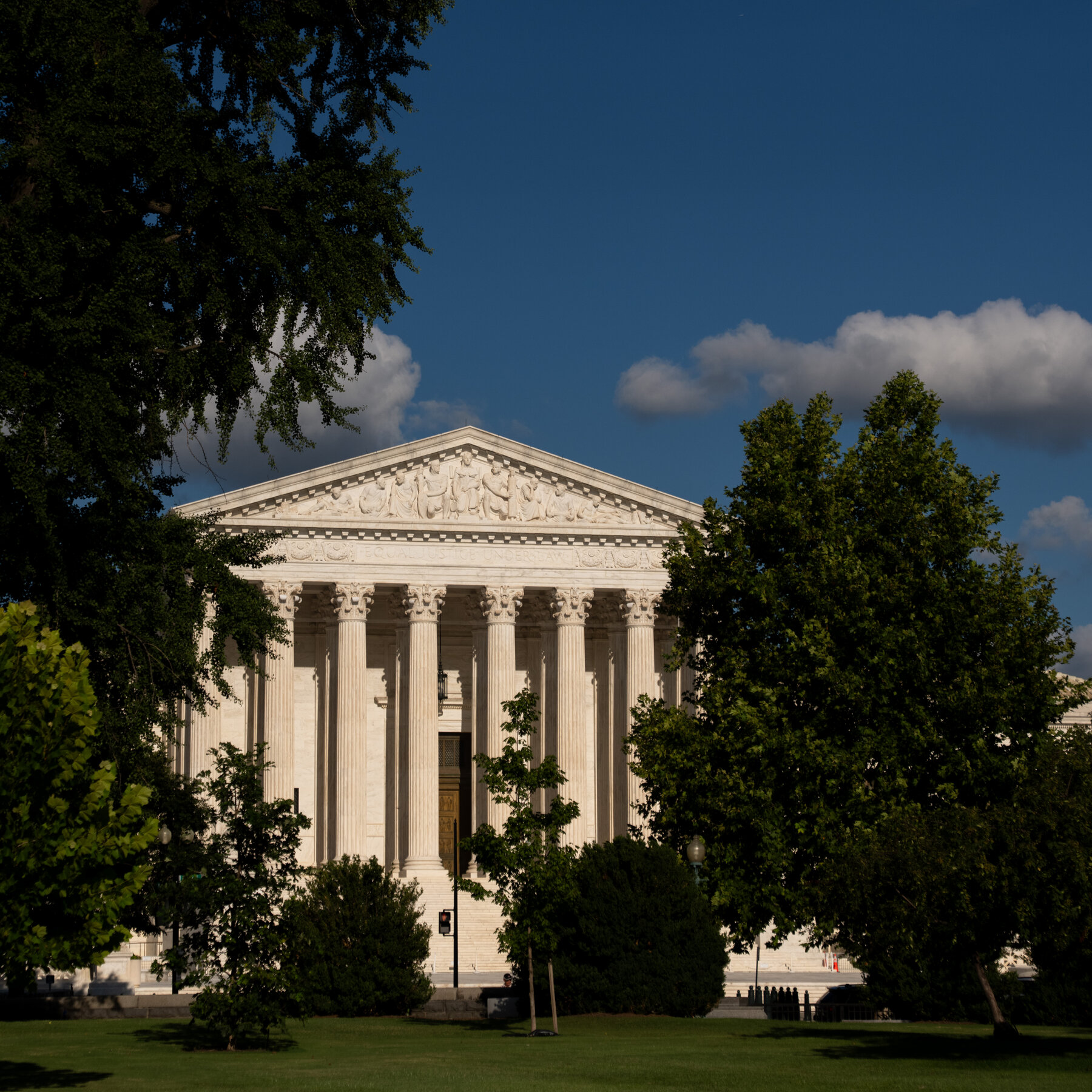 Supreme Court Receives Emergency Appeal on Behalf of Dog Named Bruce