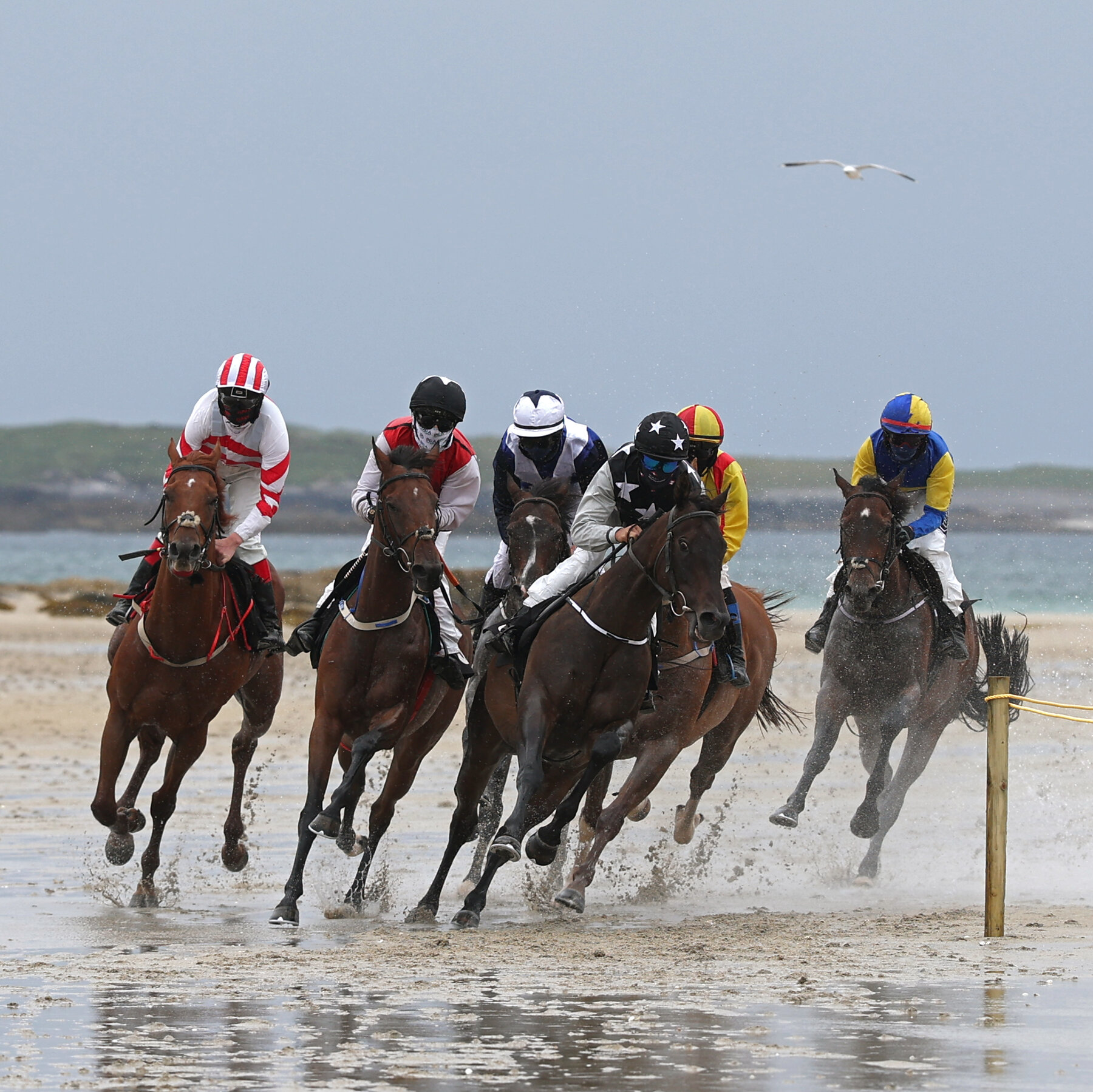 Young Jockeys Race Across Shifting Sands on an Uninhabited Irish Island