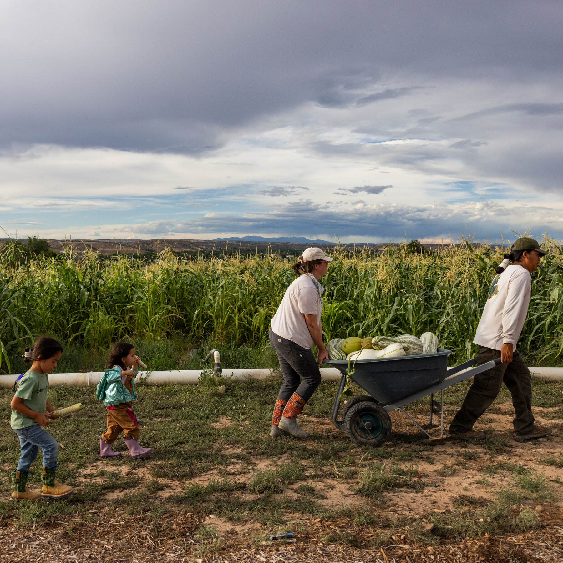 Farmers Face Hurdles Accessing Agriculture Department Services