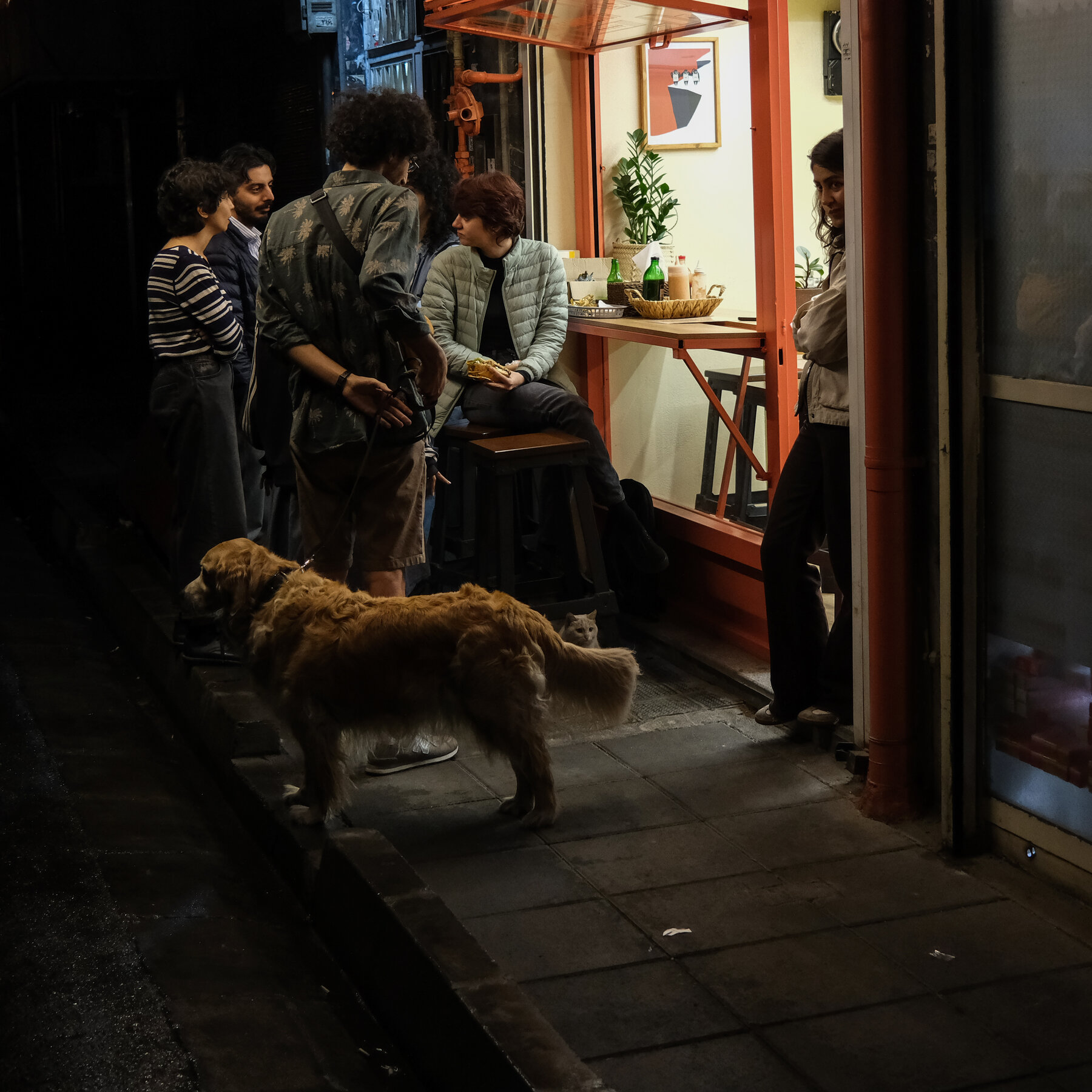 Iran Closes Cafes Where Young People Gather as Authorities Target Public Spaces