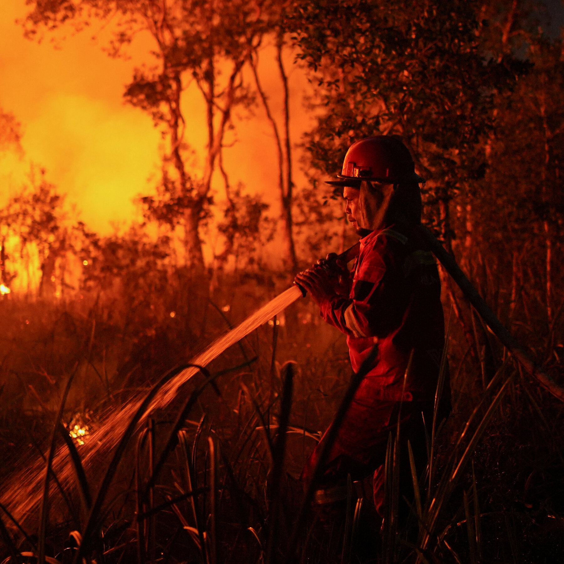 Indonesia Battles Intensifying Wildfires Amid Severe El Niño Conditions