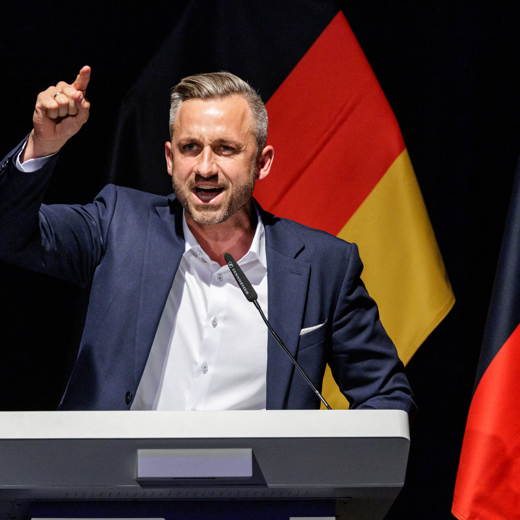 Alternative for Germany Party Faces Scrutiny Over Extremist Ties