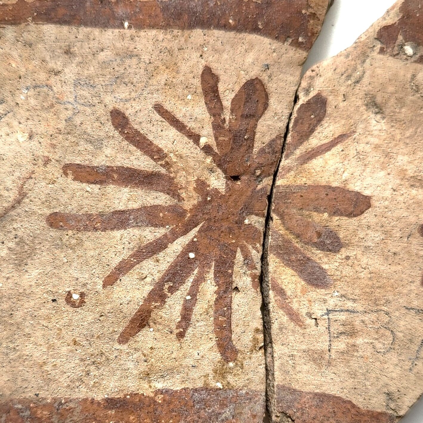 How Ancient Mesopotamian Farmers Used Floral Designs to Track Goods