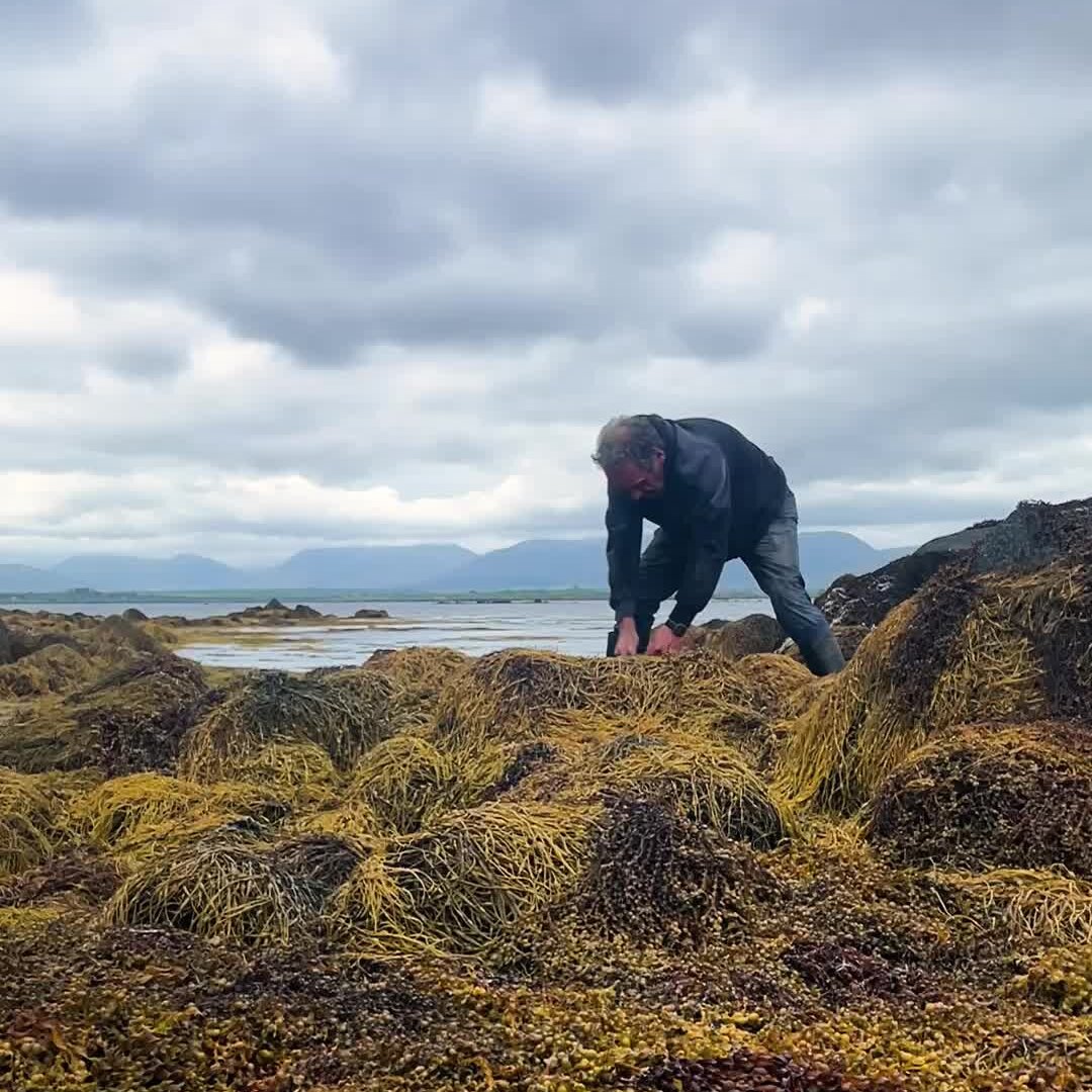Canadian Firm's Bid for Exclusive Seaweed Harvesting Rights Threatens Traditional Irish Livelihoods